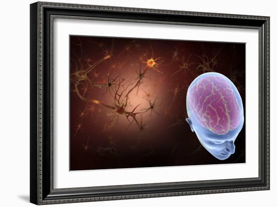 Conceptual Image of Human Brain with Neurons-Stocktrek Images-Framed Art Print