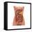 Conceptual Image of Human Digestive System in Female Body-null-Framed Stretched Canvas
