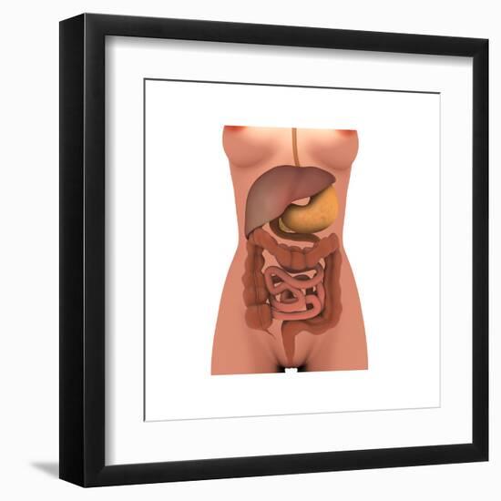 Art Print, , large