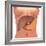 Conceptual Image of Human Digestive System in Female Body-null-Framed Art Print