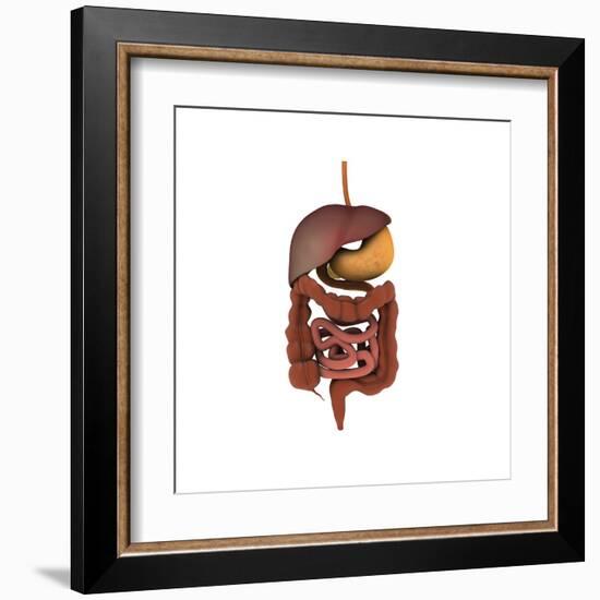 Conceptual Image of Human Digestive System-null-Framed Art Print