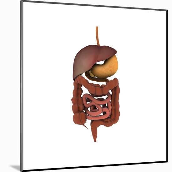 Conceptual Image of Human Digestive System-null-Mounted Art Print