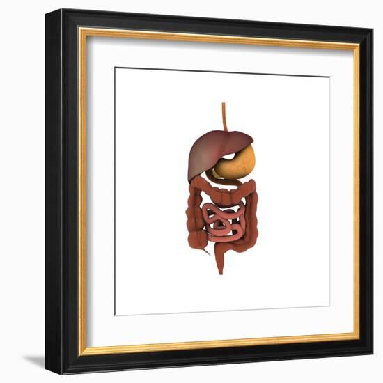 Conceptual Image of Human Digestive System-null-Framed Art Print