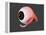 Conceptual Image of Human Eye Anatomy-null-Framed Stretched Canvas