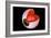 Conceptual Image of Human Eye Anatomy-null-Framed Art Print