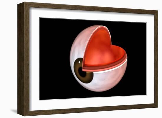 Conceptual Image of Human Eye Anatomy-null-Framed Art Print