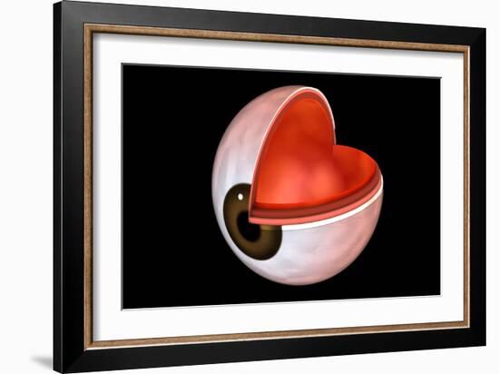 Conceptual Image of Human Eye Anatomy-null-Framed Art Print