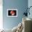 Conceptual Image of Human Eye Anatomy-null-Framed Art Print displayed on a wall