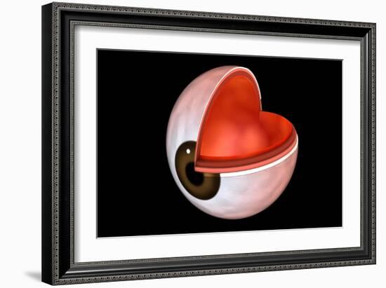 Conceptual Image of Human Eye Anatomy-null-Framed Art Print