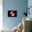 Conceptual Image of Human Eye Anatomy-null-Framed Stretched Canvas displayed on a wall