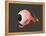 Conceptual Image of Human Eye Anatomy-null-Framed Stretched Canvas