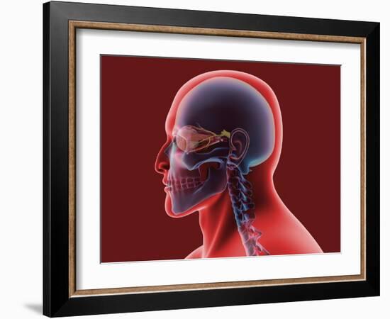 Conceptual Image of Human Eye and Skull-null-Framed Art Print