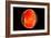 Conceptual Image of Human Eye Cross Section-null-Framed Art Print