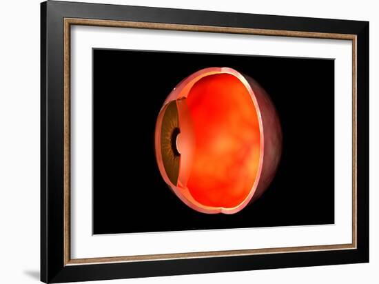 Conceptual Image of Human Eye Cross Section-null-Framed Art Print