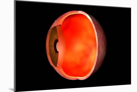 Conceptual Image of Human Eye Cross Section-null-Mounted Art Print