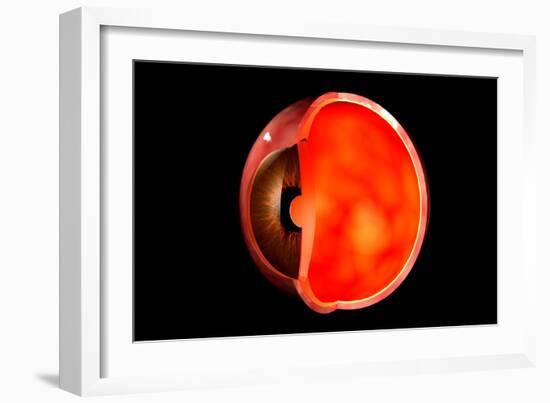Conceptual Image of Human Eye Cross Section-null-Framed Art Print