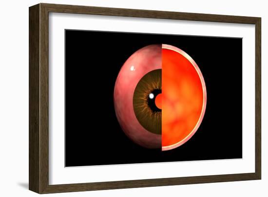 Conceptual Image of Human Eye Cross Section-null-Framed Art Print