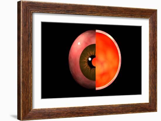 Conceptual Image of Human Eye Cross Section-null-Framed Art Print