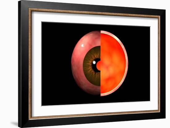 Conceptual Image of Human Eye Cross Section-null-Framed Art Print