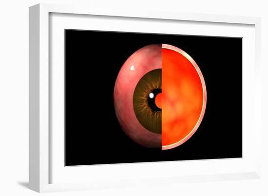 Conceptual Image of Human Eye Cross Section-null-Framed Art Print