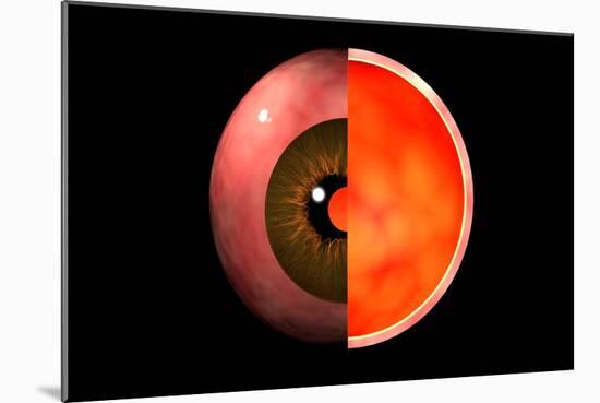 Conceptual Image of Human Eye Cross Section-null-Mounted Art Print