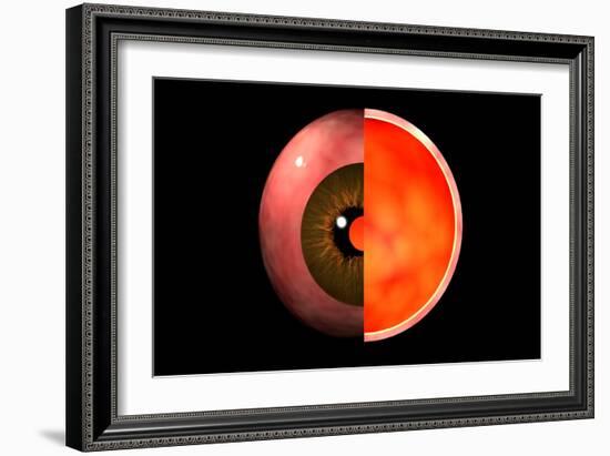 Conceptual Image of Human Eye Cross Section-null-Framed Art Print