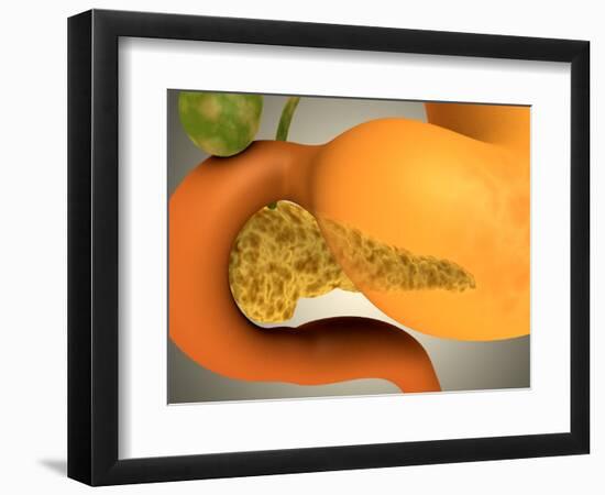 Art Print, , large