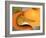 Conceptual Image of Human Pancreas and Stomach-null-Framed Art Print