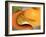 Conceptual Image of Human Pancreas and Stomach-null-Framed Art Print