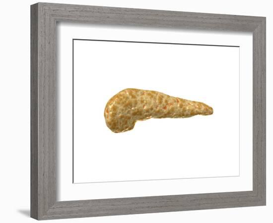 Conceptual Image of Human Pancreas-null-Framed Art Print