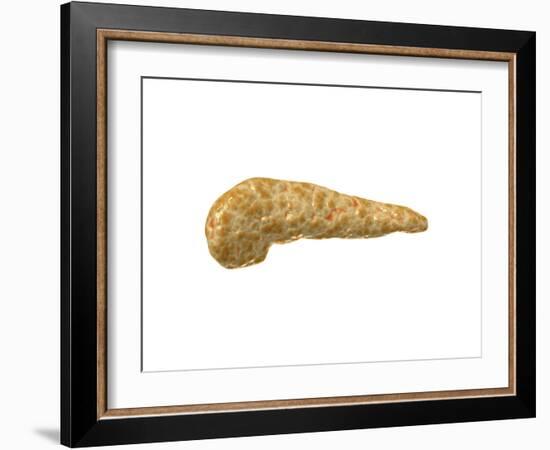 Conceptual Image of Human Pancreas-null-Framed Art Print