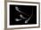 Conceptual Image of Male Sperm-null-Framed Art Print