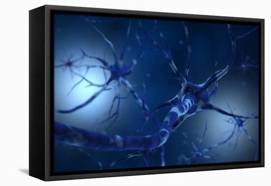 Conceptual Image of Neuron-null-Framed Stretched Canvas