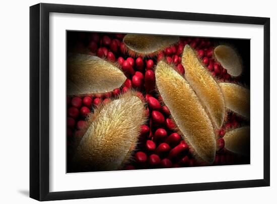 Art Print, , large
