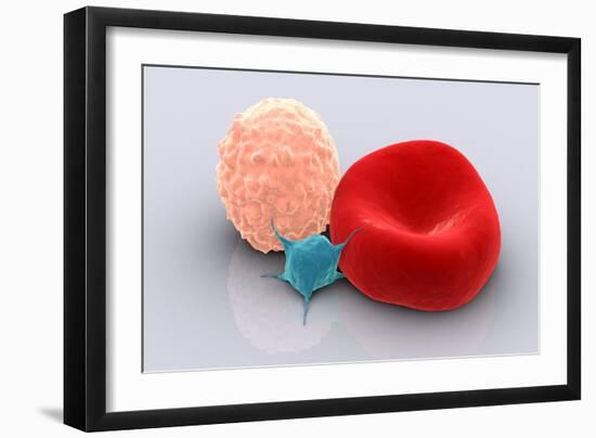 Art Print, , large