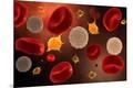 Premium Giclee Print
