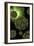 Conceptual Image of Polyomavirus-null-Framed Art Print