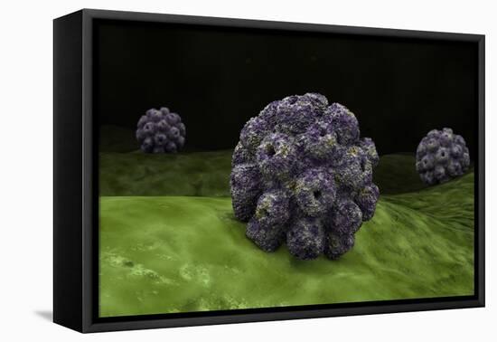 Conceptual Image of Polyomavirus-null-Framed Stretched Canvas