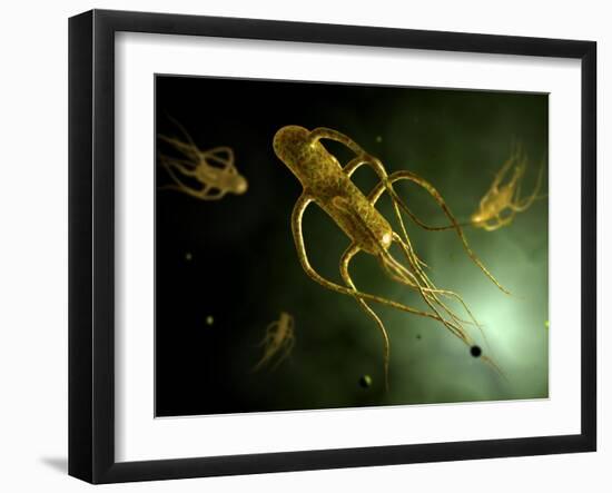 Conceptual Image of Salmonella Typhi Causing Typhoid-null-Framed Art Print