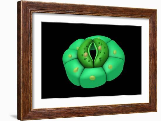 Conceptual Image of Stomata-null-Framed Art Print