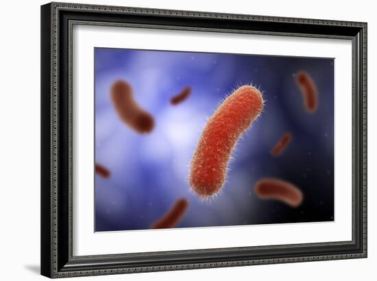 Conceptual image of the Bacillus bacteria.-Stocktrek Images-Framed Art Print