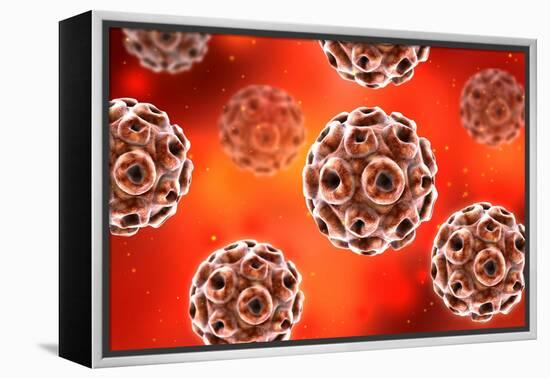 Conceptual image of the human papillomavirus infection virus.-Stocktrek Images-Framed Stretched Canvas