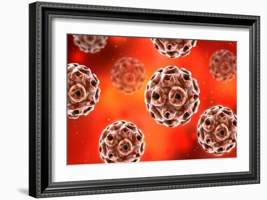 Conceptual image of the human papillomavirus infection virus.-Stocktrek Images-Framed Art Print