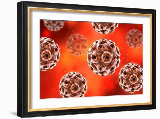 Conceptual image of the human papillomavirus infection virus.-Stocktrek Images-Framed Art Print