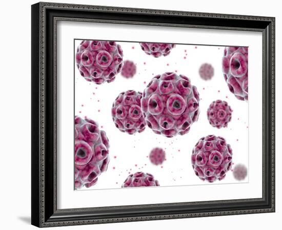 Conceptual image of the human papillomavirus infection virus.-Stocktrek Images-Framed Art Print