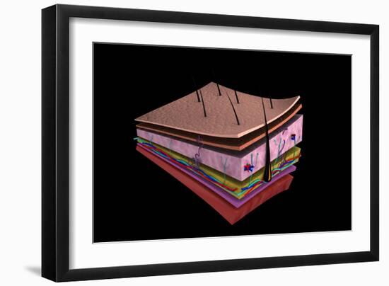 Art Print, , large