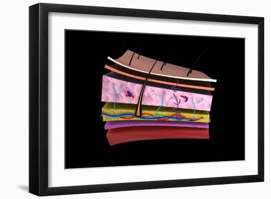 Art Print, , large