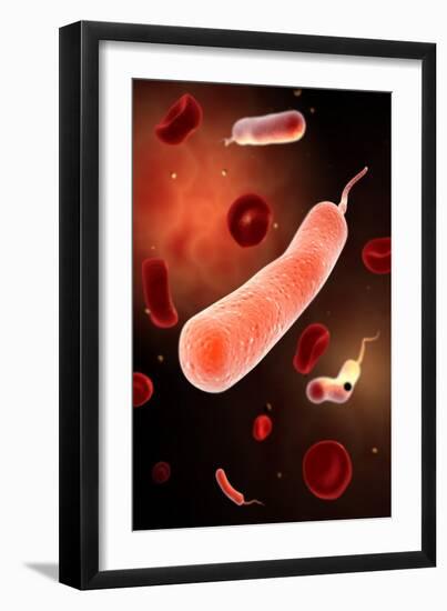 Art Print, , large