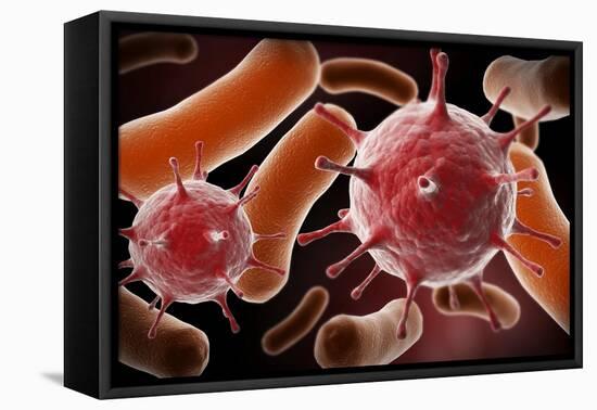 Conceptual image of virus and bacteria.-Stocktrek Images-Framed Stretched Canvas