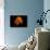 Conceptual Sunrise with a Slice of Orange and Acrylic Paint-Antonioiacobelli-Photographic Print displayed on a wall